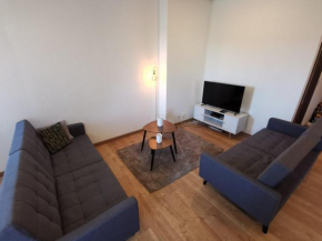 COSY’HOME Ravissant appartement bien situé Mulhouse, Mulhouse